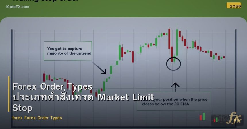 Forex Order Types ประเภทคำสั่งเทรด Market Limit Stop