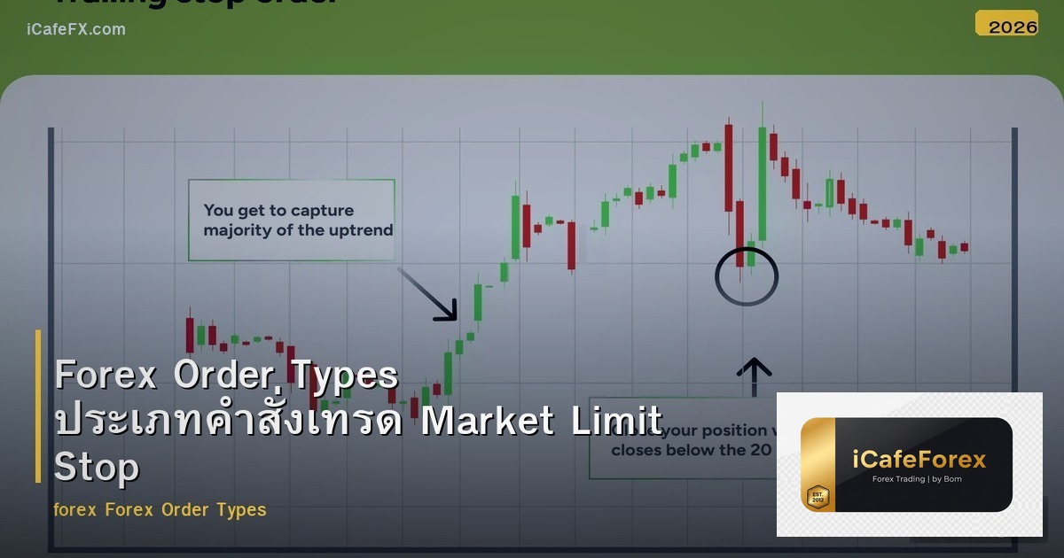 Forex Order Types ประเภทคำสั่งเทรด Market Limit Stop