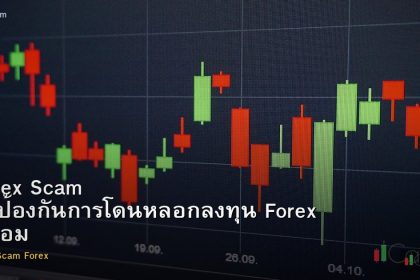 Forex Scam วิธีป้องกันการโดนหลอกลงทุน Forex ปลอม