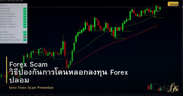 Forex Scam วิธีป้องกันการโดนหลอกลงทุน Forex ปลอม