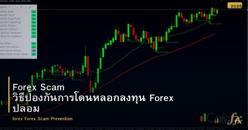 Forex Scam วิธีป้องกันการโดนหลอกลงทุน Forex ปลอม