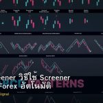 Forex Screener วิธีใช้ Screener หา Setup Forex อัตโนมัติ
