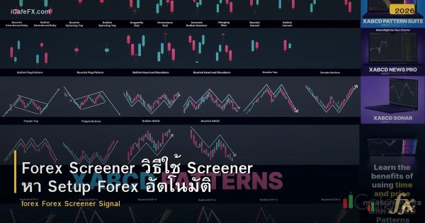 Forex Screener วิธีใช้ Screener หา Setup Forex อัตโนมัติ