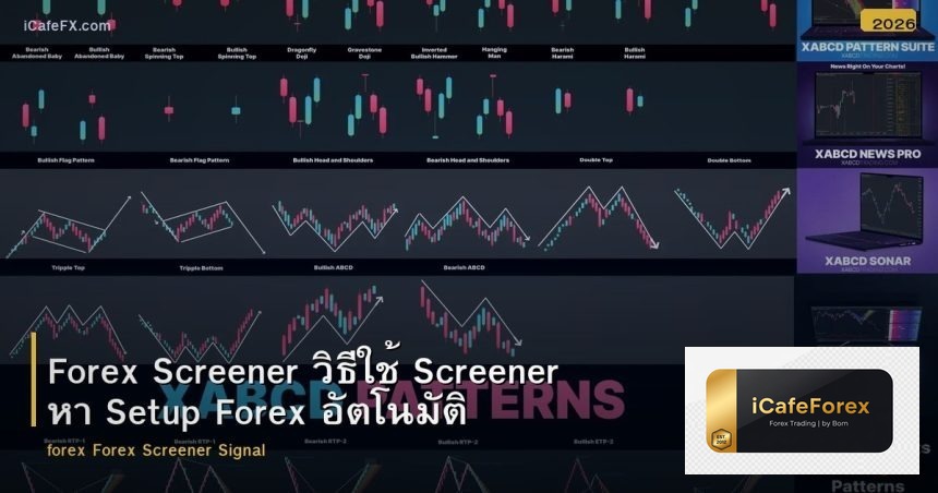 Forex Screener วิธีใช้ Screener หา Setup Forex อัตโนมัติ