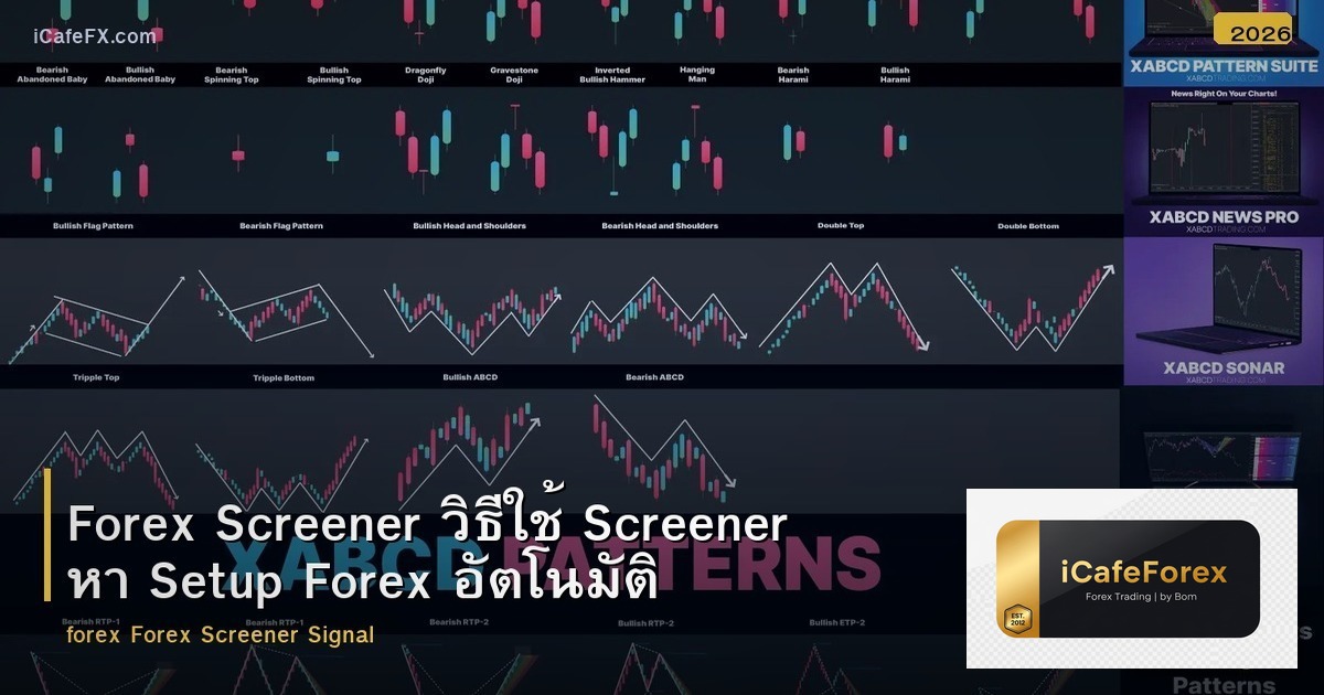 Forex Screener วิธีใช้ Screener หา Setup Forex อัตโนมัติ