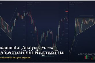 Fundamental Analysis Forex คู่มือวิเคราะห์ปัจจัยพื้นฐานฉบับมือใหม่