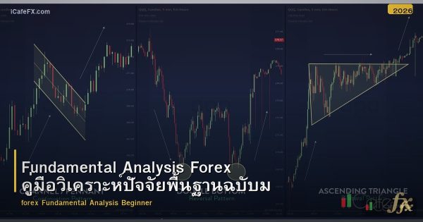 Fundamental Analysis Forex คู่มือวิเคราะห์ปัจจัยพื้นฐานฉบับมือใหม่