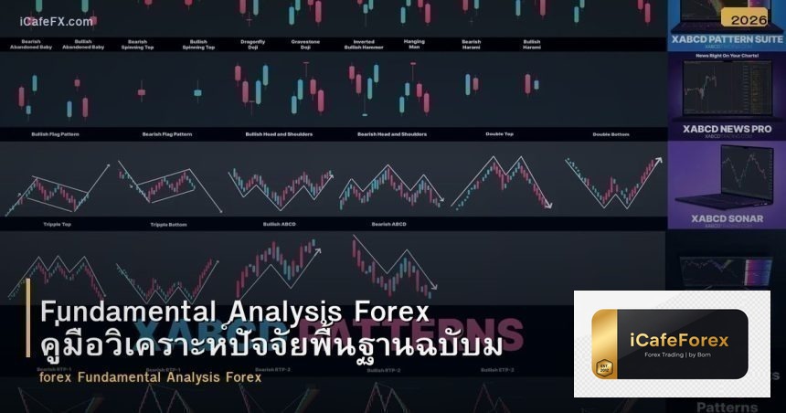 Fundamental Analysis Forex คู่มือวิเคราะห์ปัจจัยพื้นฐานฉบับมือใหม่