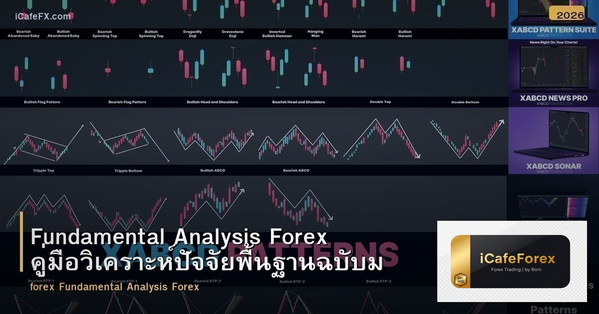 Fundamental Analysis Forex คู่มือวิเคราะห์ปัจจัยพื้นฐานฉบับมือใหม่