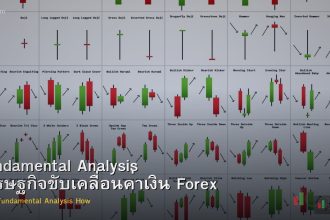 Fundamental Analysis เศรษฐกิจขับเคลื่อนค่าเงิน Forex