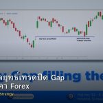 Gap Fill กลยุทธ์เทรดปิด Gap ช่องว่างราคา Forex