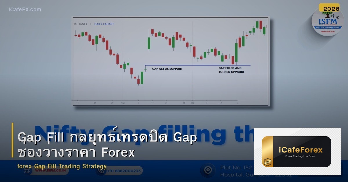 Gap Fill กลยุทธ์เทรดปิด Gap ช่องว่างราคา Forex