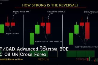 GBP/CAD Advanced วิธีเทรด BOE BOC Oil UK Cross Forex