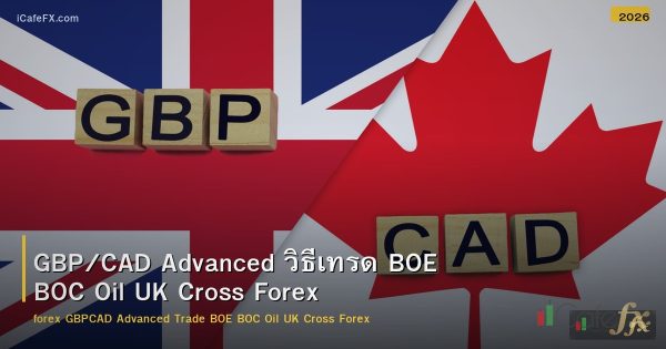 GBP/CAD Advanced วิธีเทรด BOE BOC Oil UK Cross Forex