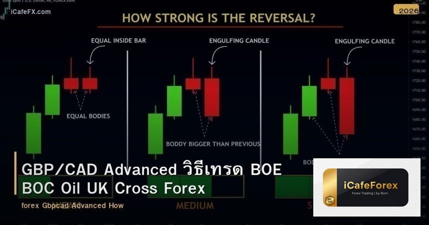 GBP/CAD Advanced วิธีเทรด BOE BOC Oil UK Cross Forex
