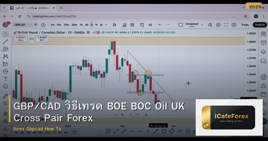 GBP/CAD วิธีเทรด BOE BOC Oil UK Cross Pair Forex