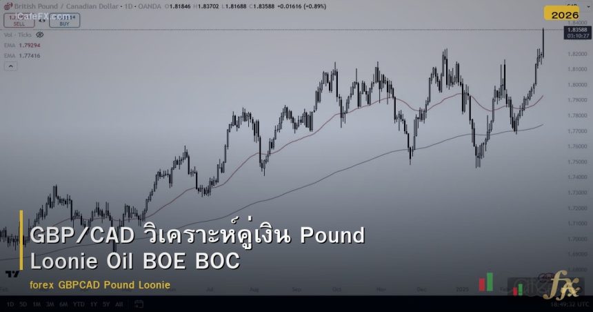 GBP/CAD วิเคราะห์คู่เงิน Pound Loonie Oil BOE BOC