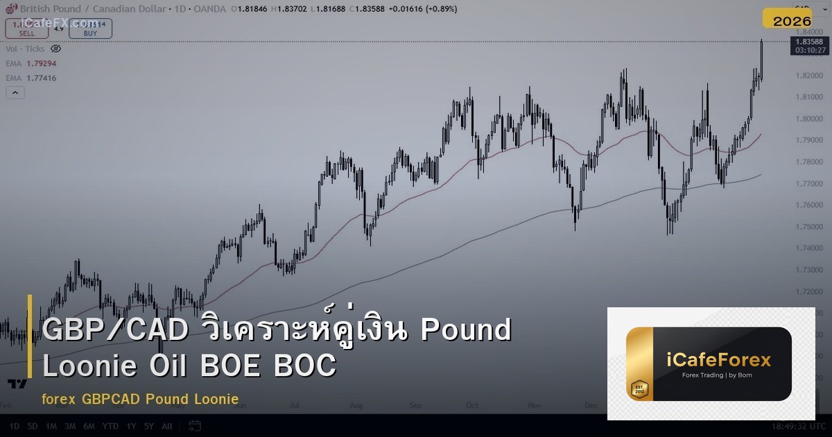 GBP/CAD วิเคราะห์คู่เงิน Pound Loonie Oil BOE BOC