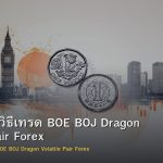 GBP/JPY วิธีเทรด BOE BOJ Dragon Volatile Pair Forex