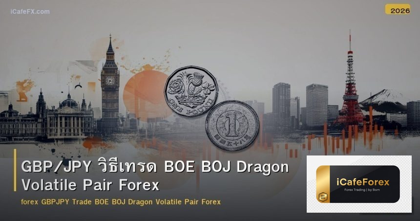GBP/JPY วิธีเทรด BOE BOJ Dragon Volatile Pair Forex