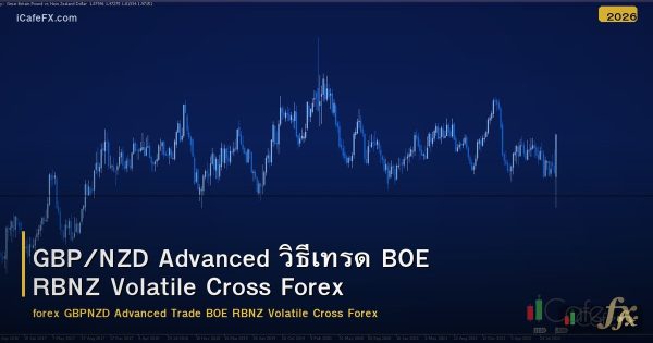 GBP/NZD Advanced วิธีเทรด BOE RBNZ Volatile Cross Forex