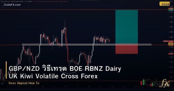 GBP/NZD วิธีเทรด BOE RBNZ Dairy UK Kiwi Volatile Cross Forex