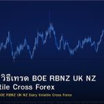 GBP/NZD วิธีเทรด BOE RBNZ UK NZ Dairy Volatile Cross Forex