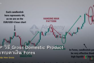 GDP วิธี Gross Domestic Product กระทบค่าเงิน Forex