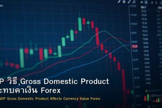 GDP วิธี Gross Domestic Product กระทบค่าเงิน Forex