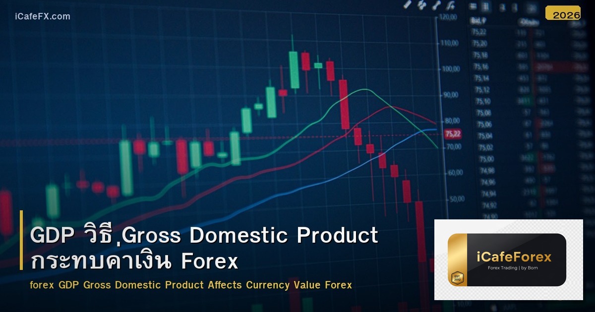 GDP วิธี Gross Domestic Product กระทบค่าเงิน Forex