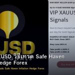 Gold XAU/USD วิธีเทรด Safe Haven Inflation Hedge Forex