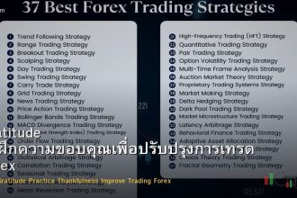 Gratitude วิธีฝึกความขอบคุณเพื่อปรับปรุงการเทรด Forex