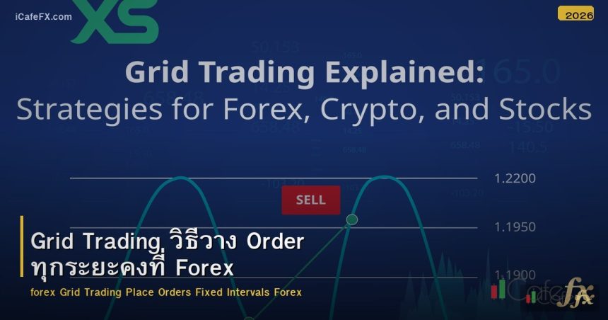 Grid Trading วิธีวาง Order ทุกระยะคงที่ Forex