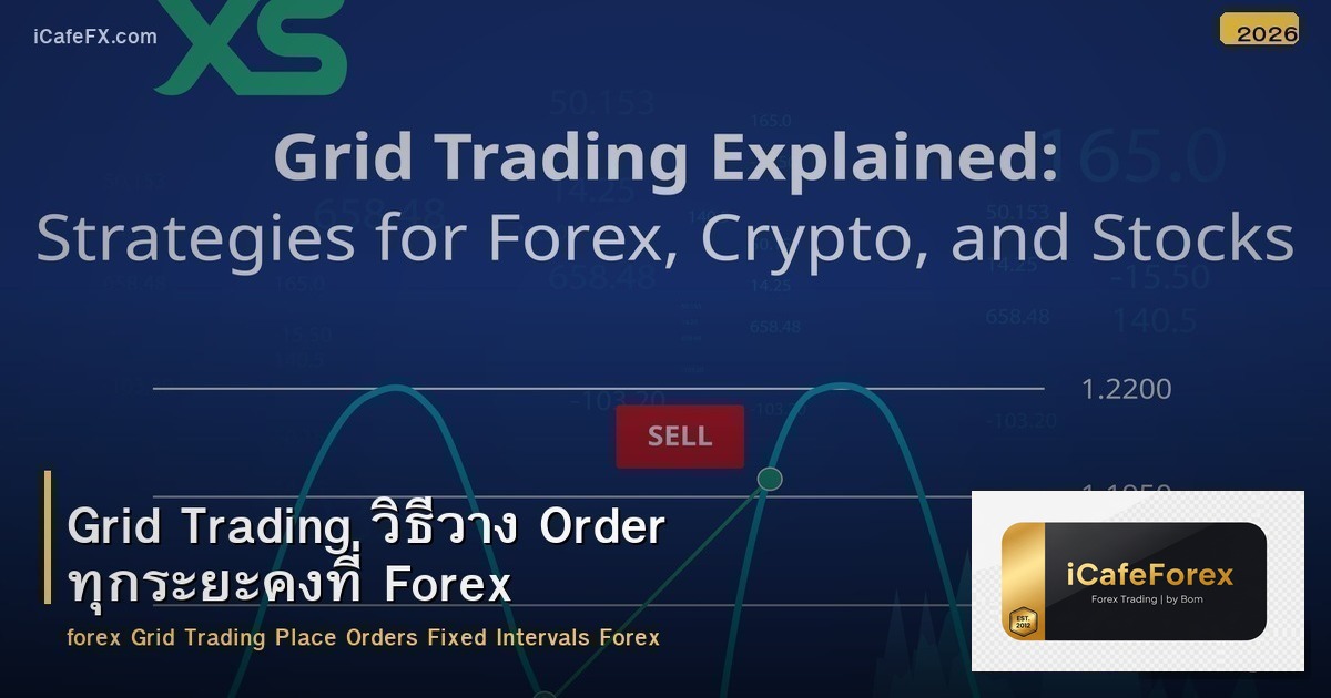 Grid Trading วิธีวาง Order ทุกระยะคงที่ Forex