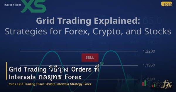 Grid Trading วิธีวาง Orders ที่ Intervals กลยุทธ์ Forex