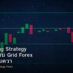 Grid Trading Strategy วิธีเทรดแบบ Grid Forex ข้อดีข้อเสียความเสี่ยง