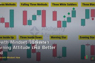 Growth Mindset วิธีพัฒนา Learning Attitude เพื่อ Better Trader Forex