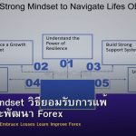 Growth Mindset วิธียอมรับการแพ้ เรียนรู้ และพัฒนา Forex