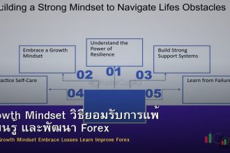 Growth Mindset วิธียอมรับการแพ้ เรียนรู้ และพัฒนา Forex