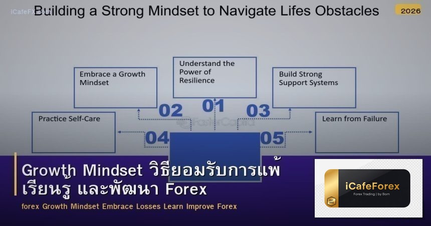 Growth Mindset วิธียอมรับการแพ้ เรียนรู้ และพัฒนา Forex