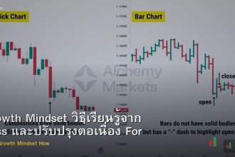 Growth Mindset วิธีเรียนรู้จาก Loss และปรับปรุงต่อเนื่อง Forex