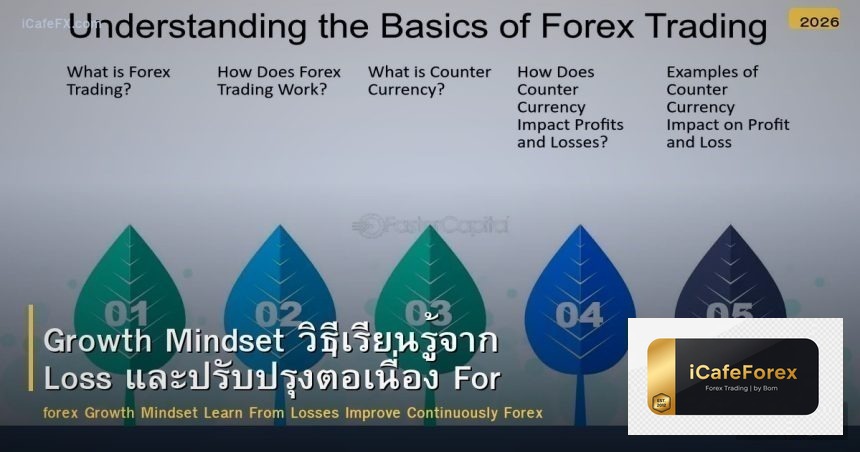 Growth Mindset วิธีเรียนรู้จาก Loss และปรับปรุงต่อเนื่อง Forex