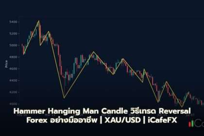 Hammer Hanging Man Candle วิธีเทรด Reversal Forex