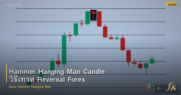Hammer Hanging Man Candle วิธีเทรด Reversal Forex