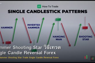 Hammer Shooting Star วิธีเทรด Single Candle Reversal Forex