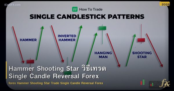 Hammer Shooting Star วิธีเทรด Single Candle Reversal Forex