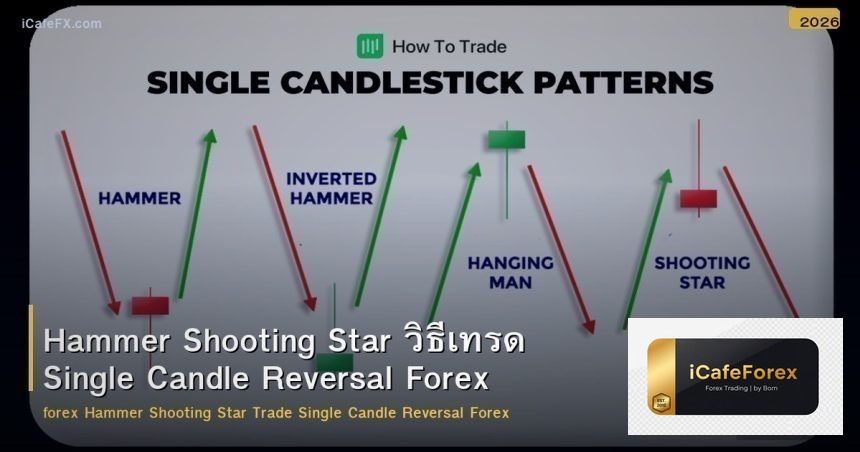Hammer Shooting Star วิธีเทรด Single Candle Reversal Forex