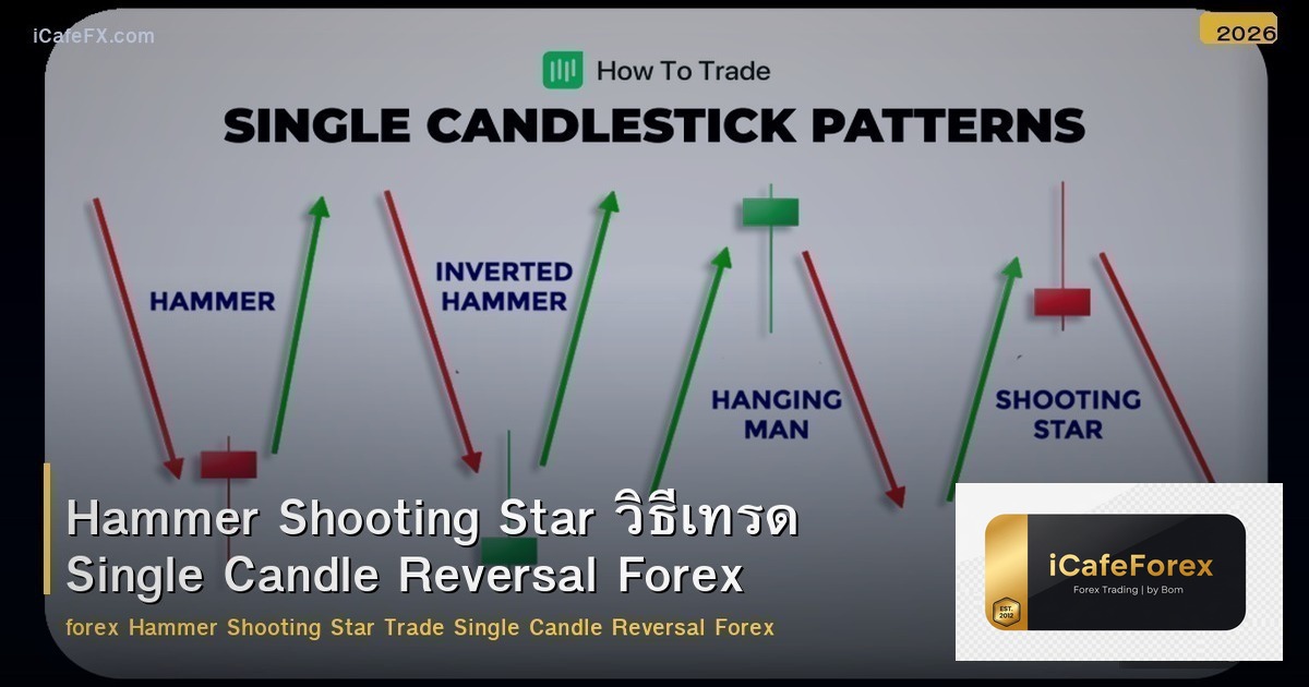 Hammer Shooting Star วิธีเทรด Single Candle Reversal Forex
