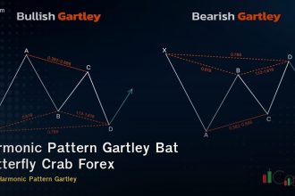 Harmonic Pattern Gartley Bat Butterfly Crab Forex