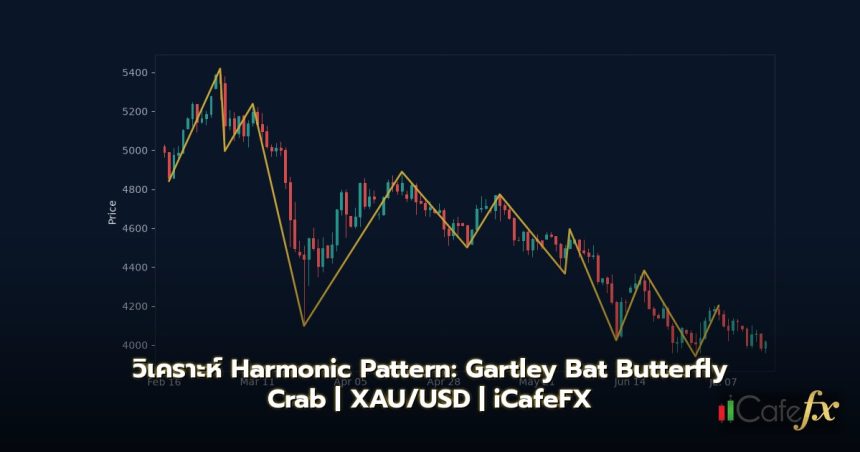 Harmonic Pattern Gartley Bat Butterfly Crab Forex